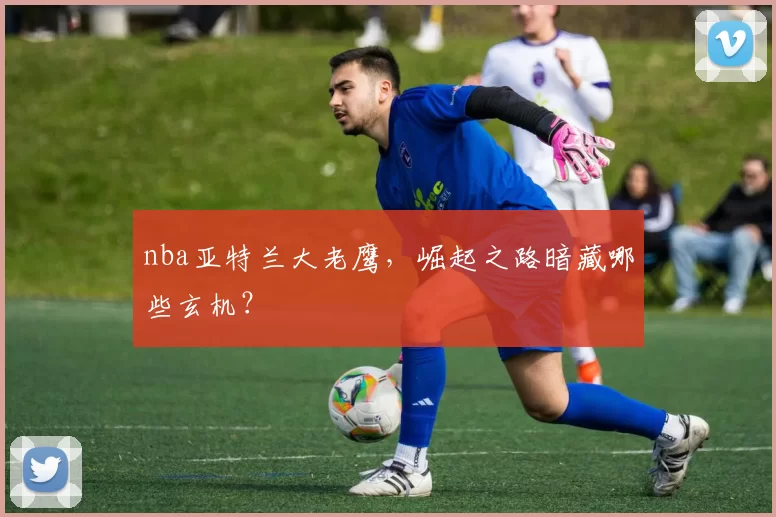 nba亚特兰大老鹰，崛起之路暗藏哪些玄机？