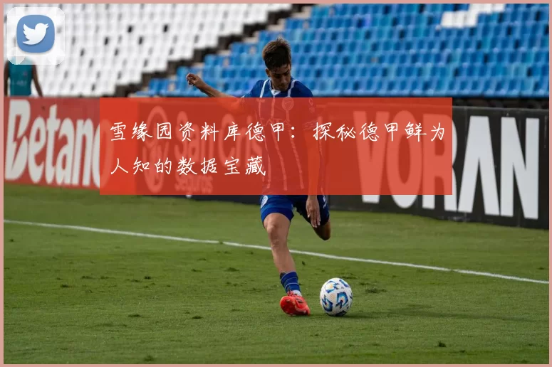 雪缘园资料库德甲：探秘德甲鲜为人知的数据宝藏