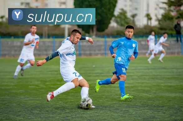 开云·kaiyun体育(中国大陆)官方网站 登录入口全站App